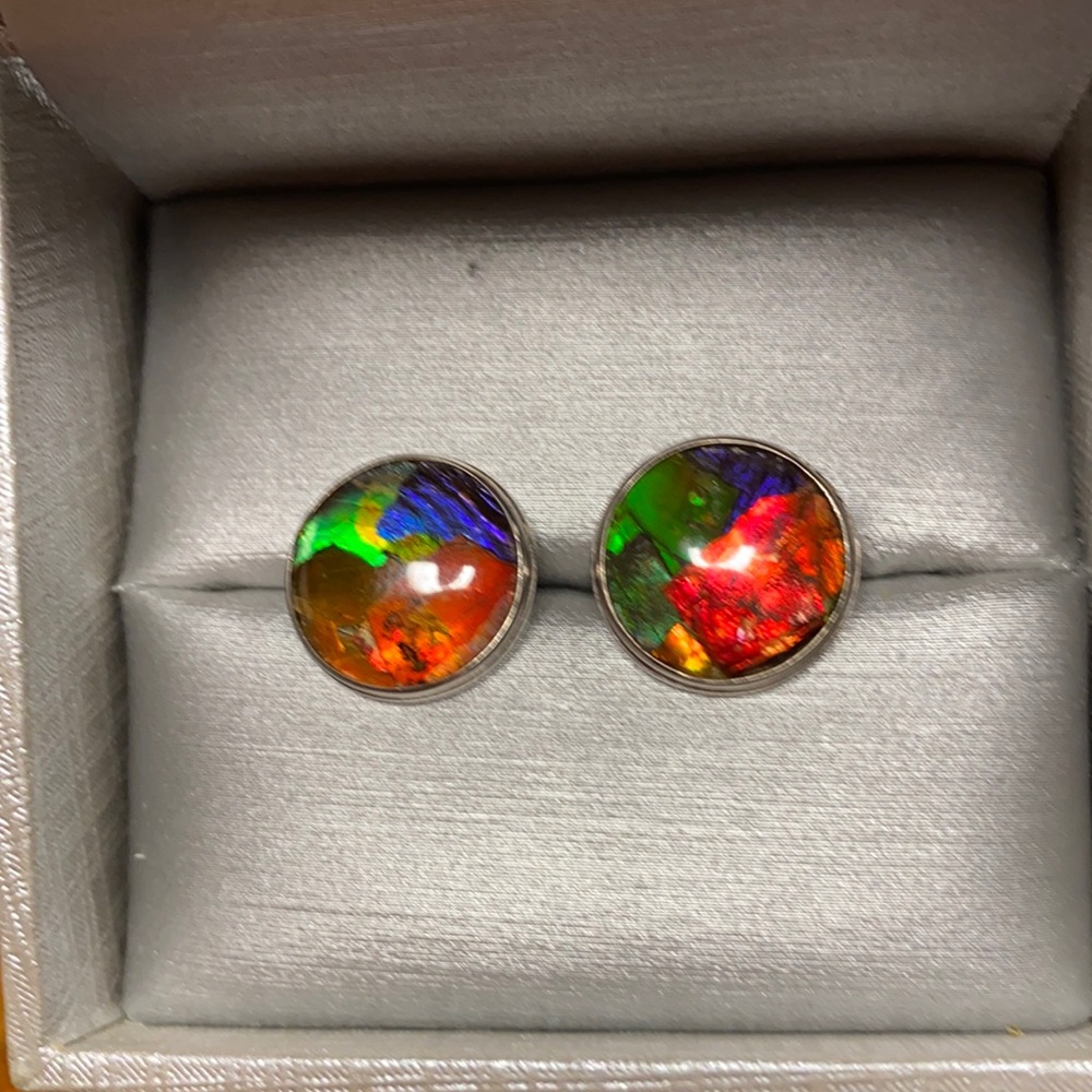 Amazing Ammolite Large Studs